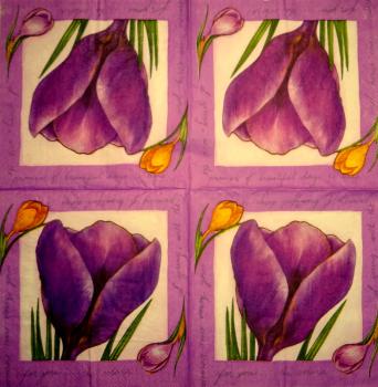 170 Daffodils - 3 ply -